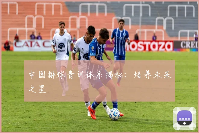 中国排球青训体系揭秘：培养未来之星