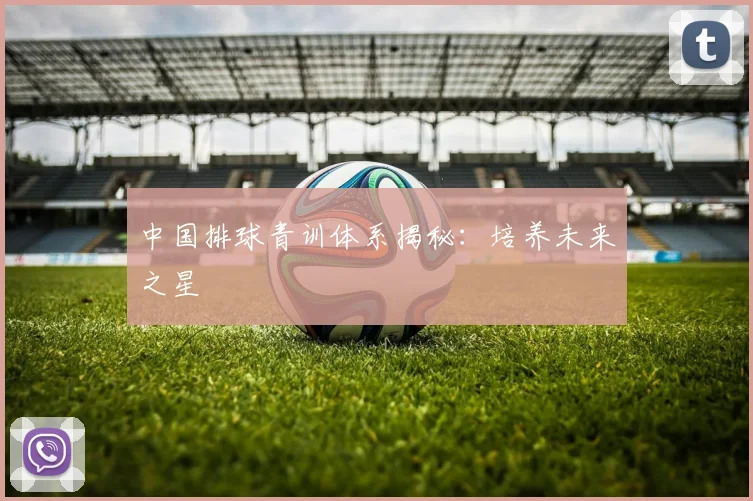 中国排球青训体系揭秘：培养未来之星