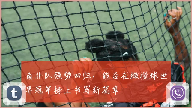 南非队强势回归，能否在橄榄球世界冠军榜上书写新篇章